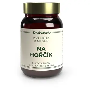 DR.SVATEK Kapsle na hořčík s B6 60 kusů