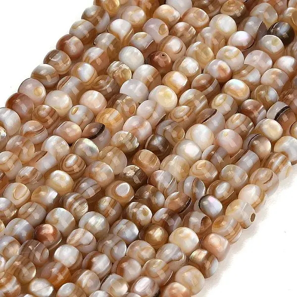 Natural Freshwater Shell Beads Strands