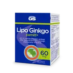 GS Lipo Ginkgo paměť+ 60 mg, 90 kapslí