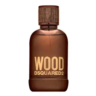 Dsquared2 Wood toaletní voda pro muže 100 ml