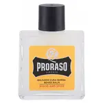 PRORASO Balzám na plnovous se dřevem a kořením Wood & Spice 100 ml