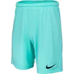 Nike DRI-FIT PARK 3 Pánské kraťasy, tyrkysová, velikost