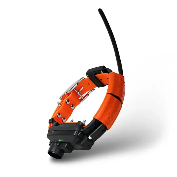Obojek pro dalšího psa DOG GPS X25TB - orange | P54318