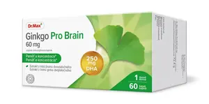 Dr. Max Ginkgo Pro Brain 60 mg 60 kapslí