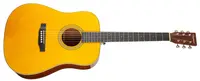 Tanglewood TW40DANE
