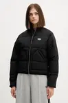 Dickies  Bunda