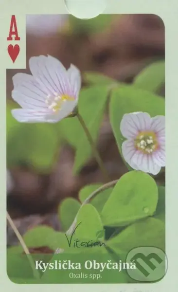 Divoké a jedlé (Hracie karty - 54) - Sergei Boutenko