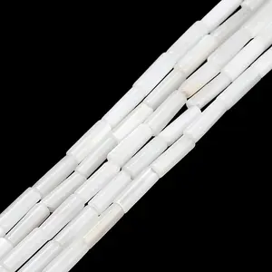Natural Freshwater Shell Beads Strands