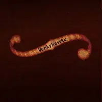Slávek Neuhöfer – Venkyhessku