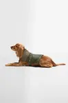 Barbour Kabát pre psa Barbour Brampton Quilted Dog Coat