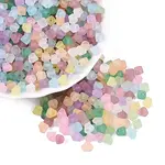 FGB Frosted Transparent Glass Seed Beads