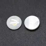 Shell Cabochons