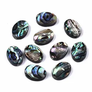 Natural Abalone Shell/Paua Shell Beads