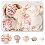 233G 5 Styles Natural Mixed Shell Pendants Sets