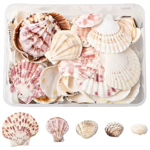 233G 5 Styles Natural Mixed Shell Pendants Sets