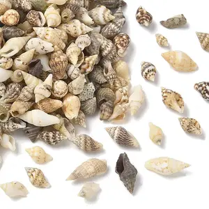 Natural Sea Shell Beads