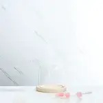 Glass Dome Cover