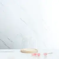 Glass Dome Cover