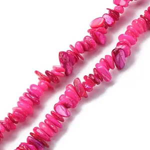 Natural Freshwater Shell Beads Strands
