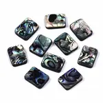 Natural Abalone Shell/Paua Shell Beads