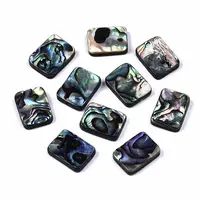 Natural Abalone Shell/Paua Shell Beads