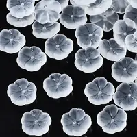 Transparent Frosted Glass Beads
