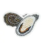 MIYUKI Seed Beads Oyster Brooch Making Kits