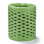 Raffia Ribbon