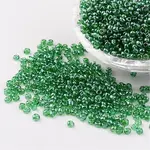 Round 8/0 Glass Seed Beads