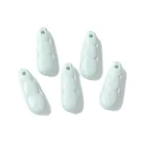 Natural Rainbow Alashan Agate Charms