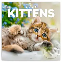NOTIQUE Nástenný poznámkový kalendár Kittens (Mačiatka) 2026