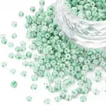 8/0 Opaque Glass Seed Beads
