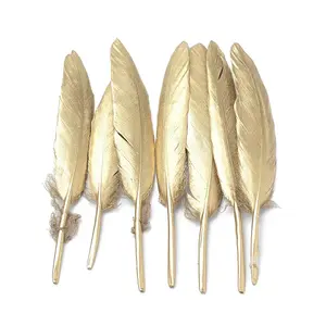 Plated Feather Costume Accessories