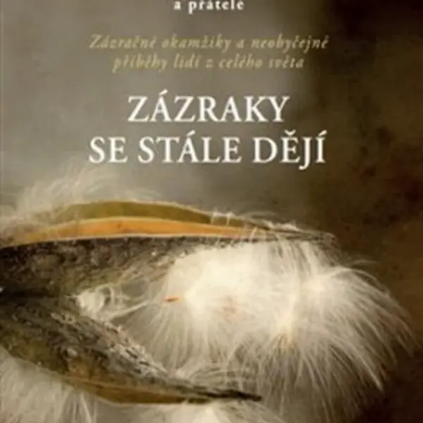 Zázraky se stále dějí (Defekt) - Louise L. Hay