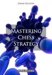 Mastering Chess Strategy - Johan Hellsten