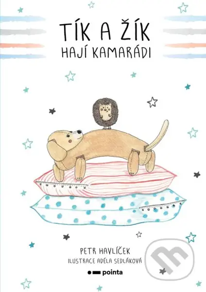 Tík a Žík, hají kamarádi - Petr Havlíček, Adéla Sedláková (ilustrátor) - kniha z kategorie Beletrie pro děti