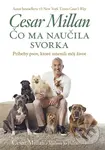 Čo ma naučila svorka (Príbehy psov, ktoré zmenili môj život) - Cesar Millan