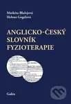 Anglicko-český slovník fyzioterapie - Markéta Blažejová, Helena Gogelová - kniha z kategorie Medicína