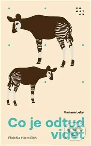 Co je odtud vidět - Mariana Leky - kniha z kategorie Společenská beletrie