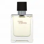 Hermes Terre D'Hermes toaletná voda pre mužov 50 ml