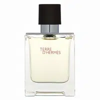 Hermes Terre D'Hermes toaletná voda pre mužov 50 ml