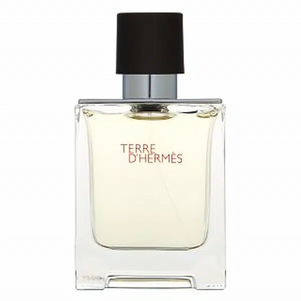 Hermes Terre D'Hermes toaletná voda pre mužov 50 ml