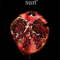 Midnight Sun