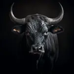 MALBA NA PLÁTNĚ, zvířata, 55/55 cm