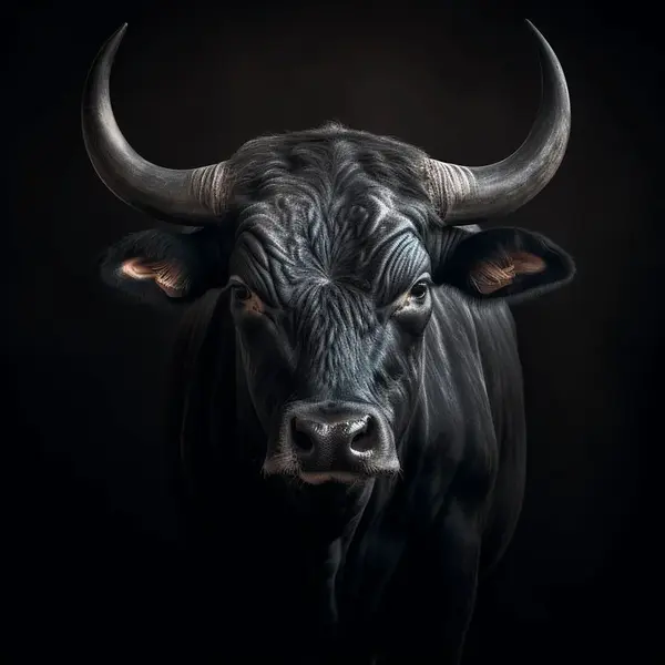 MALBA NA PLÁTNĚ, zvířata, 55/55 cm