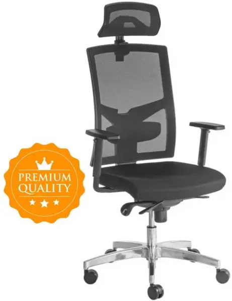 ALBA Ergonomická kancelářská židle GAME ŠÉF VIP s 3D opěrkou hlavy a područkami, BLACK 27, sezení 8+ hodin denně