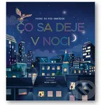Pozri sa pod obrázok: Čo sa deje v noci - Emily Bone, Brian Lambert (ilustrátor)
