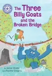 Reading Champion: The Three Billy Goats and the Broken Bridge - Jackie Walter