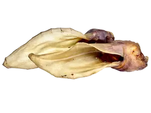 LK Baits Pet Srnčí Ucho 2ks, 40g