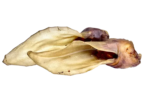 LK Baits Pet Srnčí Ucho 2ks, 40g